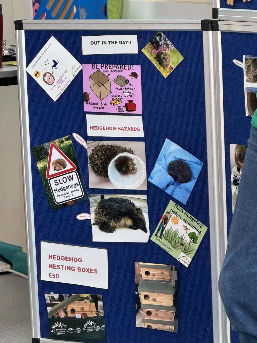 Miss Davies & Mrs Field tweet media