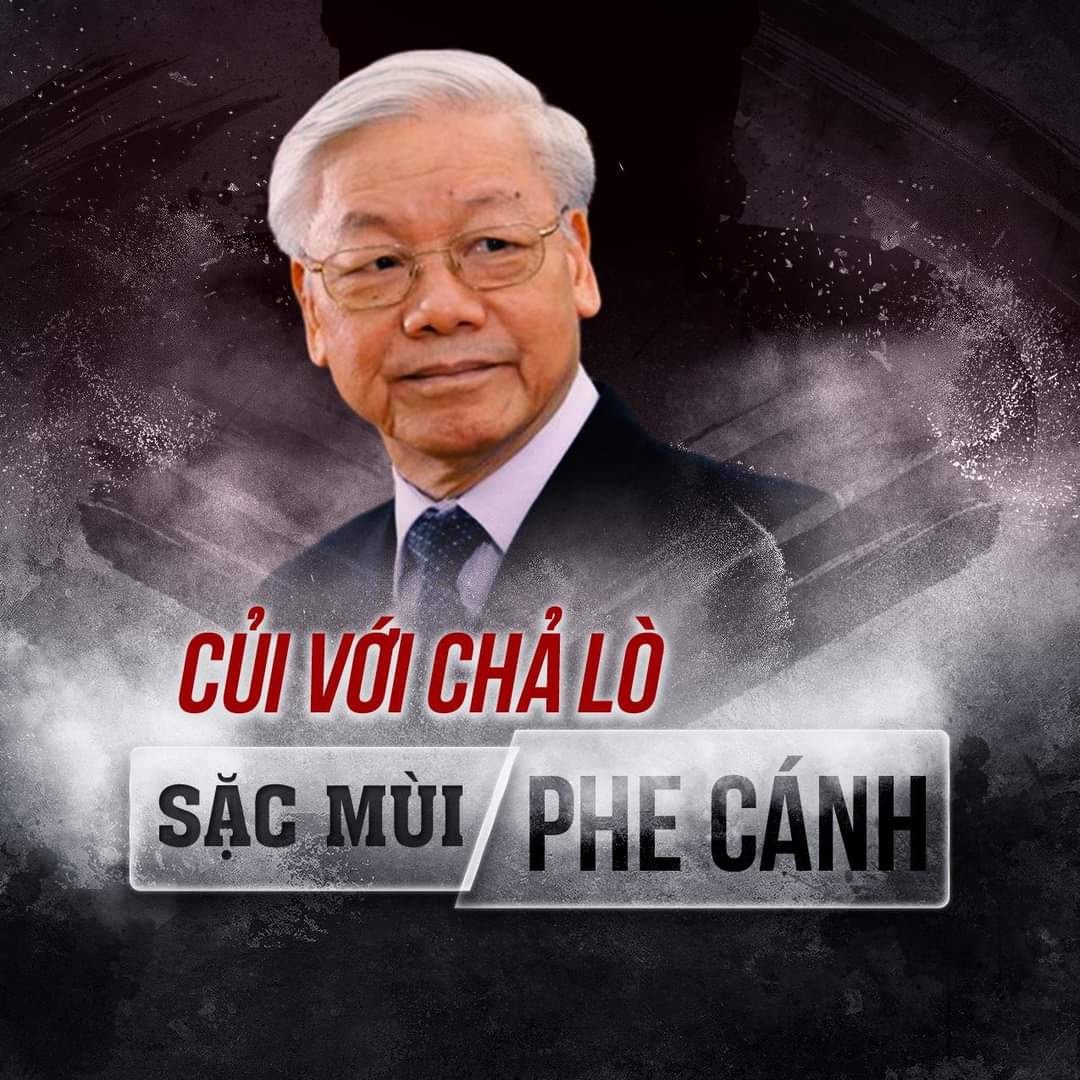 Tri Nguyen (Ông Tám) tweet media