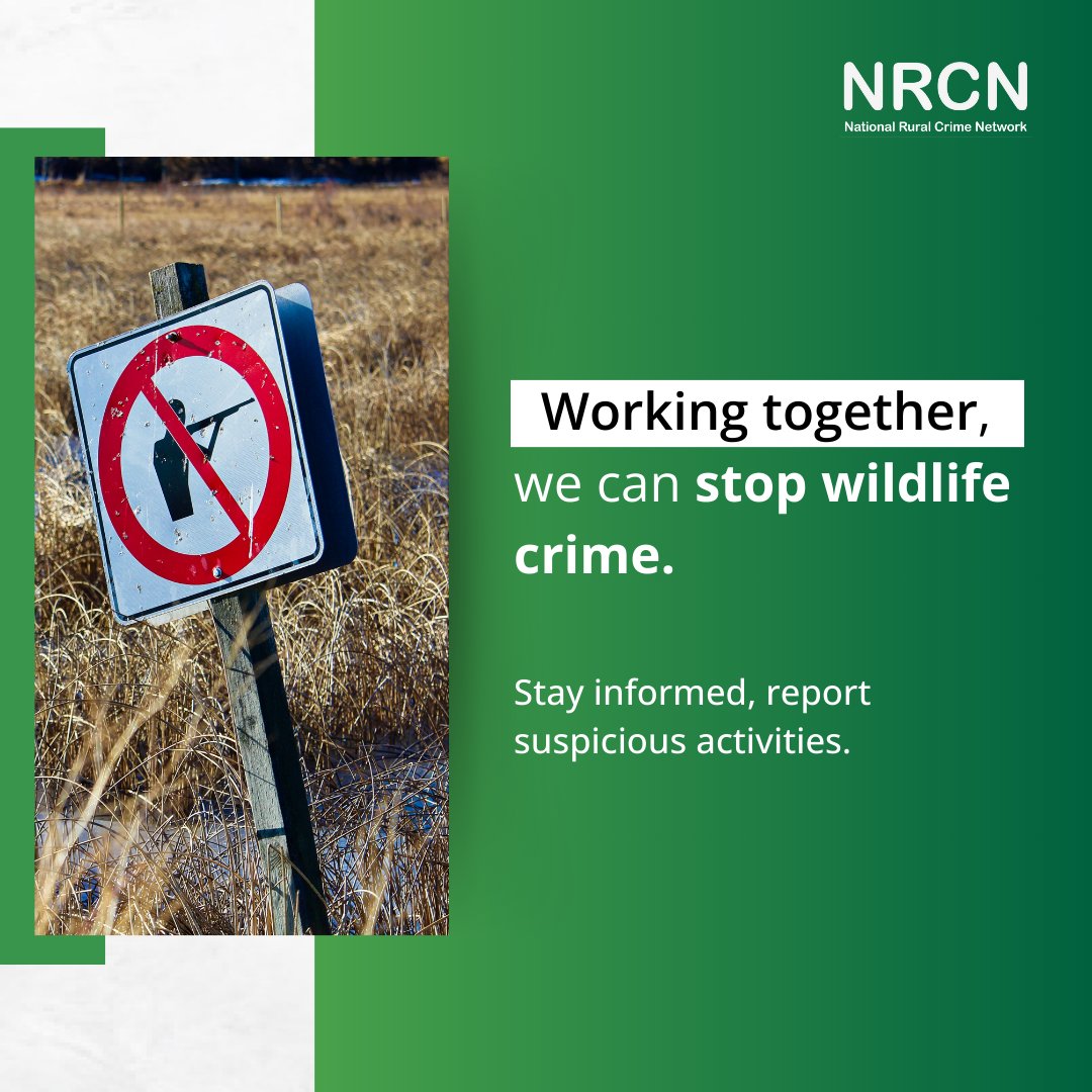 Wildlife crime poses a significant threat to the UK's natural environment. Illegal activities such as poaching, trading #wildlife products, and destroying habitats harm protected species and disrupt ecosystems, fueling #organisedcrime. Join us now: nationalruralcrimenetwork.net/join-us/ 👇