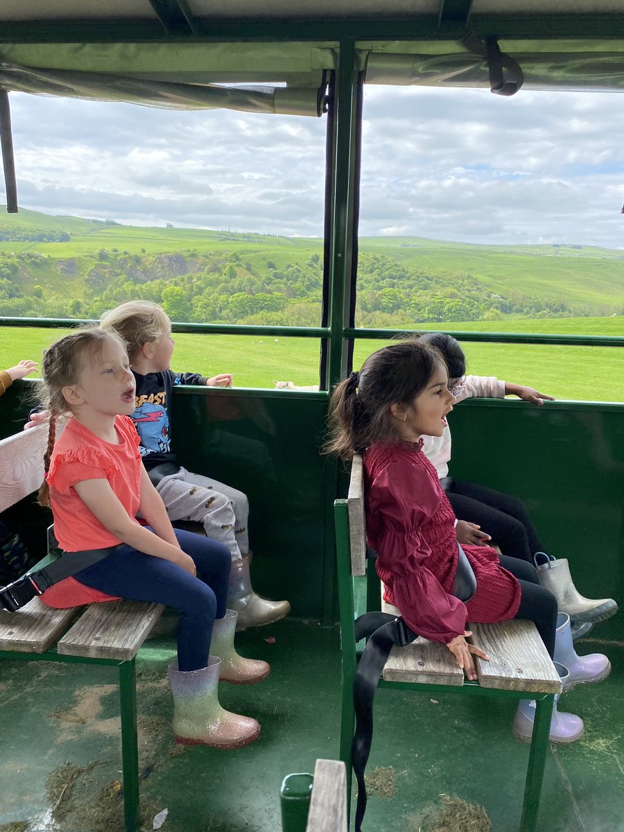 olvschool's tweet photo. We have seen cows and calf’s, sheep and lambs on our tractor ride! @bcw_cat #OLVEYFS #OLVRECEPTION https://t.co/1TRQ4W4vnS
