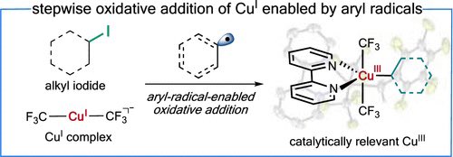 Catalytically Relevant Organocopper(III) Complexes Formed through Aryl-Radical-Enabled Oxidative Addition

@J_A_C_S #Chemistry #Chemed #Science #TechnologyNews #news #technology #AcademicTwitter #ResearchPapers

pubs.acs.org/doi/10.1021/ja…