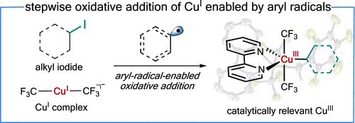 Science News (@sciencnews) on Twitter photo Catalytically Relevant Organocopper(III) Complexes Formed through Aryl-Radical-Enabled Oxidative Addition
<a href="/J_A_C_S/">J. Am. Chem. Soc.</a> #Chemistry #Chemed #Science #TechnologyNews #news #technology #AcademicTwitter #ResearchPapers
pubs.acs.org/doi/10.1021/ja… Catalytically Relevant Organocopper(III) Complexes Formed through Aryl-Radical-Enabled Oxidative Addition
<a href="/J_A_C_S/">J. Am. Chem. Soc.</a> #Chemistry #Chemed #Science #TechnologyNews #news #technology #AcademicTwitter #ResearchPapers
pubs.acs.org/doi/10.1021/ja…
