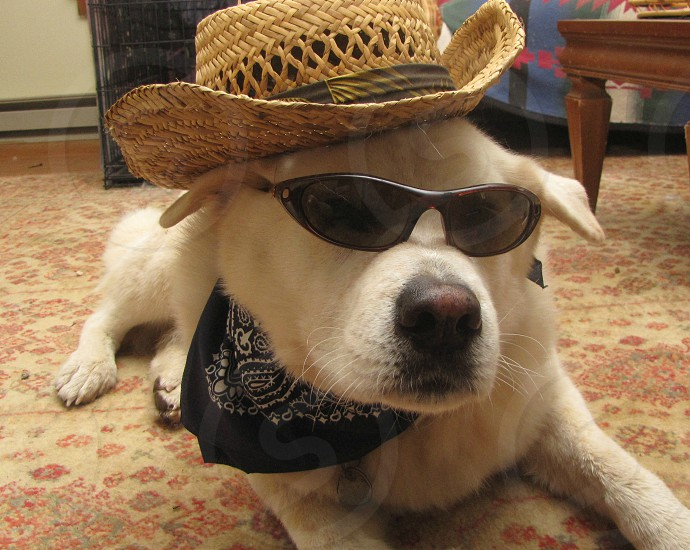 OfficialApeXdex's tweet photo. Me while my ApeX Grid Bot does all the hard work.
🐕🕶️ #TradingLife

➜ https://t.co/8Ejb22r29C https://t.co/VgFHV64ItJ