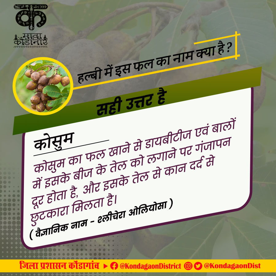 KondagaonDist's tweet photo. कल पूछे गये प्रश्न का सही जवाब 

"कोसुम"

#Mawakondanaar 
#क्या_आप_जानते_हैं 
#kondagaon 
#halbi 
#halbi_language https://t.co/x11VNfasng