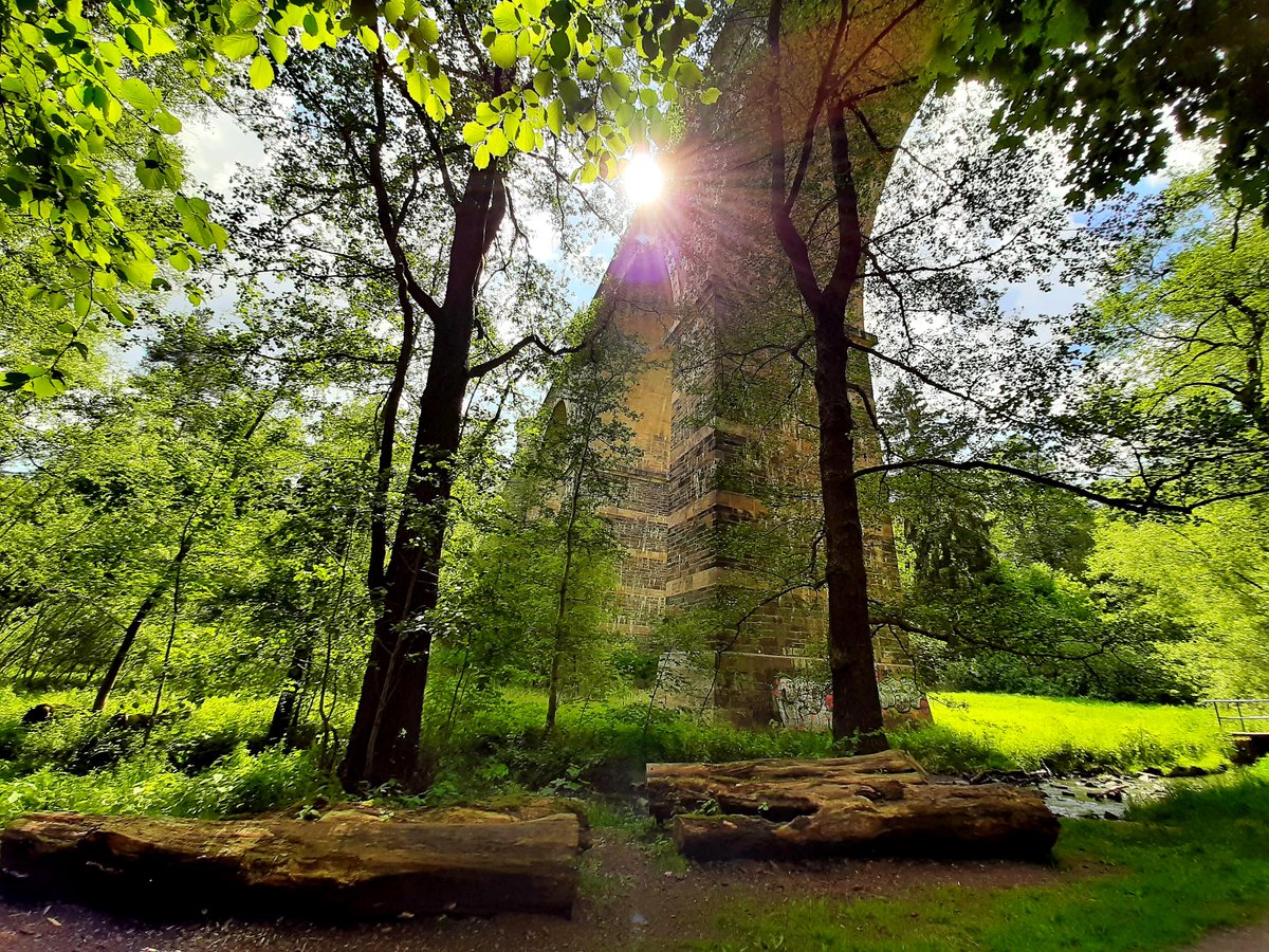 Bild des Morgens - aus dem Vogtland...