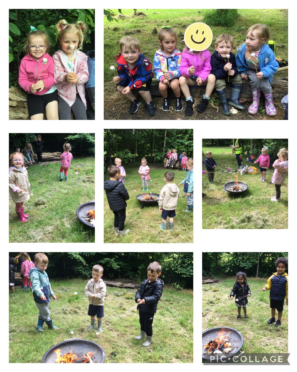 This week in forest school the children enjoyed toasting marshmallows around a campfire 🔥 @parishschool1 #Parishearlyyears