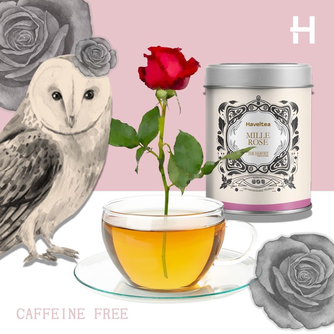 haveltea's tweet photo. Untuk kamu yang lagi sering menghabiskan waktu di rumah...⏳

Mille Rose akan memberikan inspirasi, imajinasi &amp; menemanimu tentram bagaikan teman yang tulus. 🙌

Mille Rose bebas kafein, terbuat dari Chamomile dan sweet french rose.🌱

Tersedia dalam jumlah terbatas.😉

#Haveltea https://t.co/TcArxSH5lr