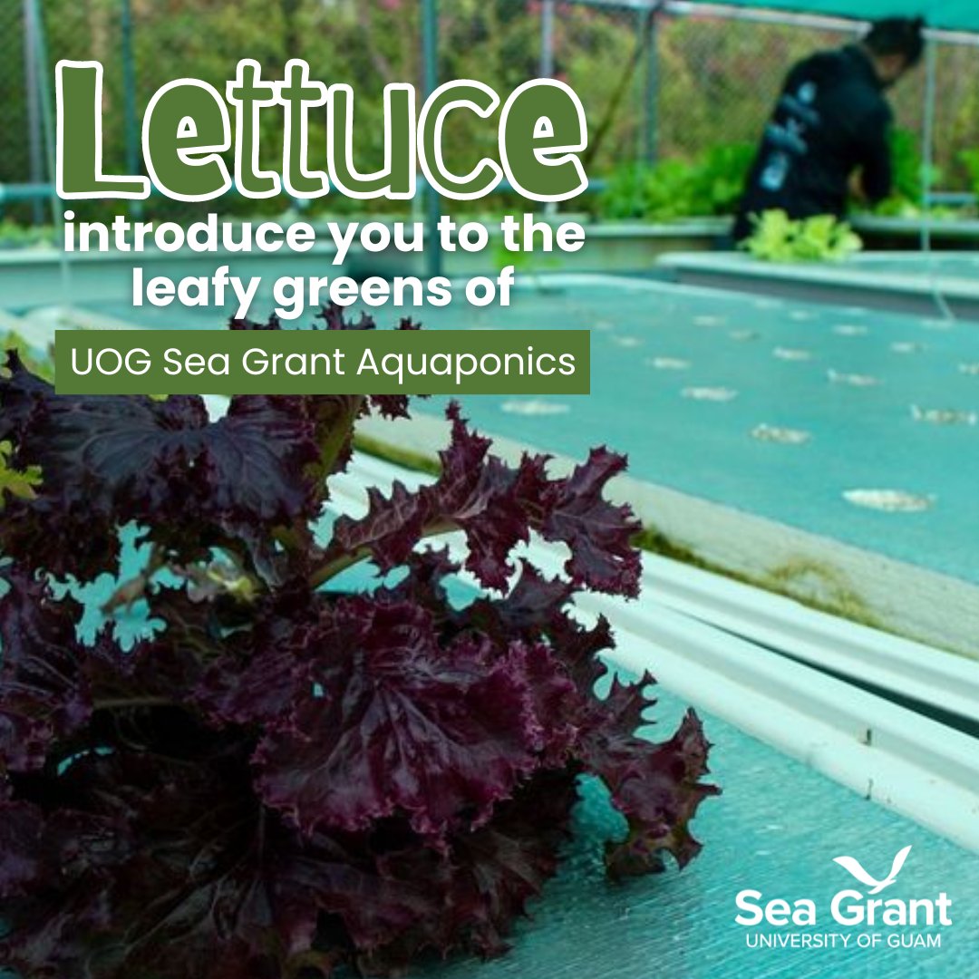 UOG Sea Grant tweet media