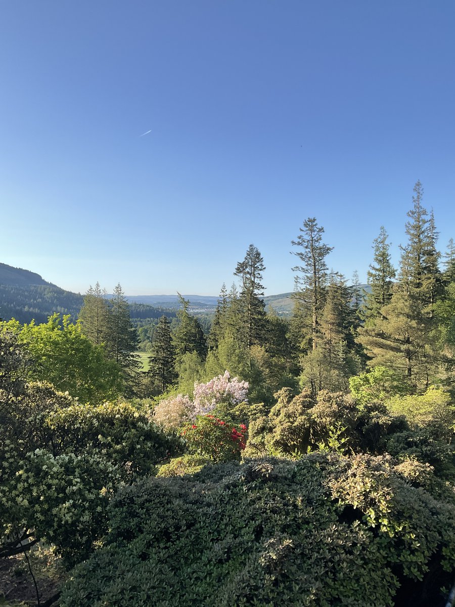 A perfect morning for a walk to the view point… Benmore Botanic Garden open from 10am.