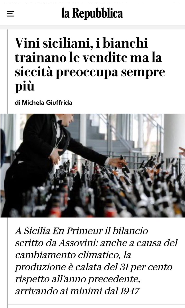 Tra #siccità, #cambiamento climatico, #flessione dei consumi, vince la resilienza della Sicilia. Il bilancio di Sicilia en Primeur 2024 @m_giuffrida @LaRepubblica_it
