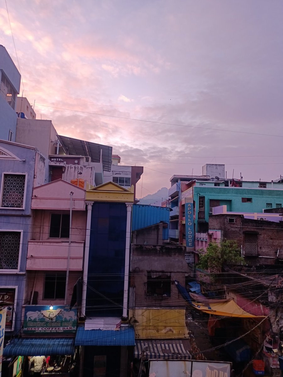 bookish_misha's tweet photo. Morning view😍😍 https://t.co/YpUi86hBQo