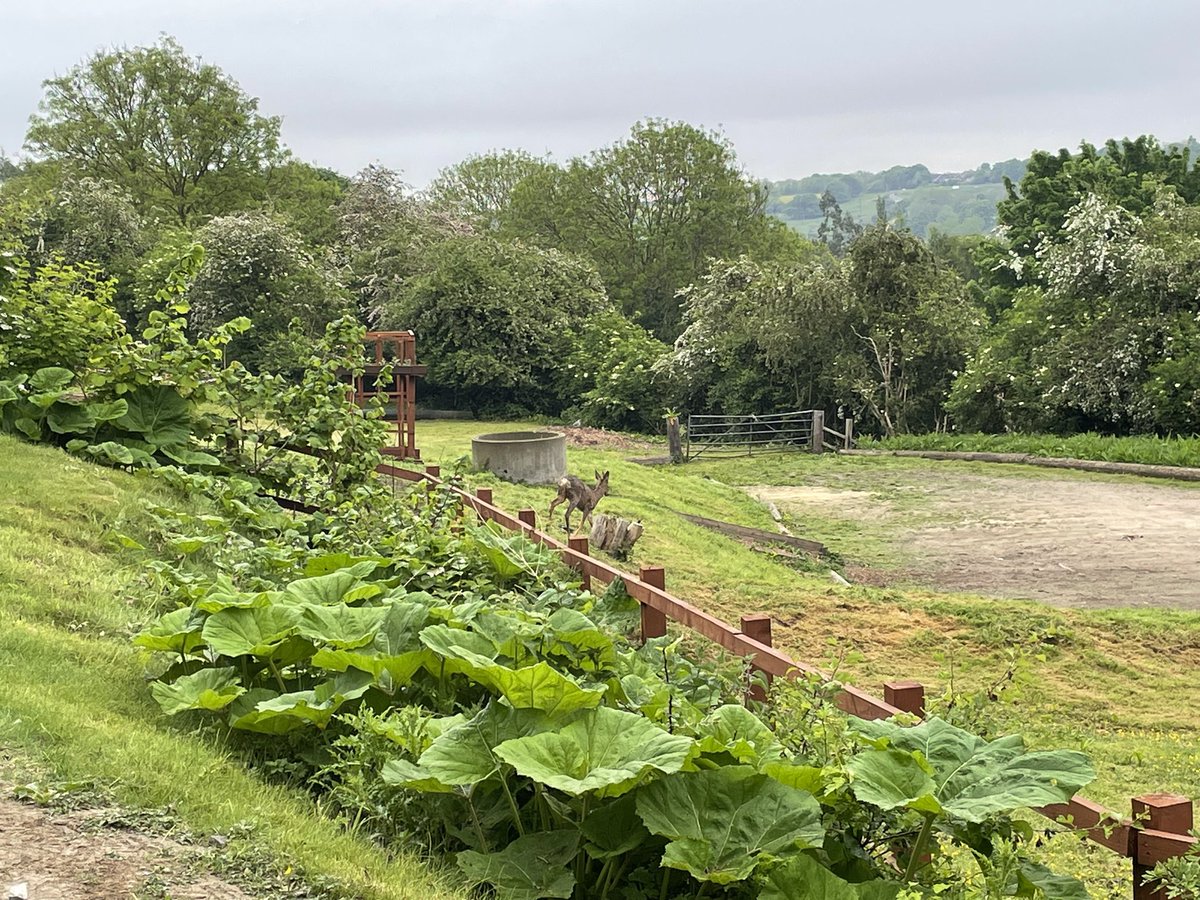 PS NE Durham & Darlington PDU tweet media