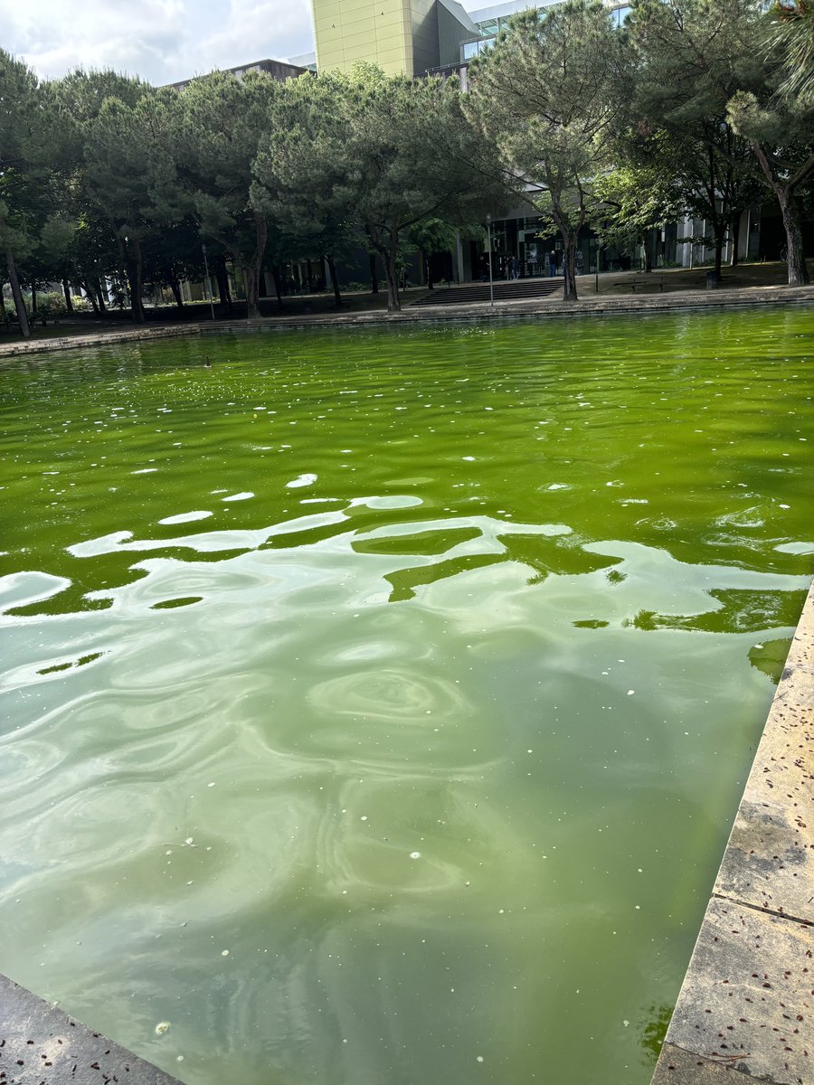 PierreMarceteau's tweet photo. Bienvenu à Bordeaux où la municipalité empêche aux bordelais de profiter d’un rare point d’eau, lors des futures fortes chaleurs de part sa politique ! #bordeeaux #meriadeck https://t.co/PqXAiMTUeQ