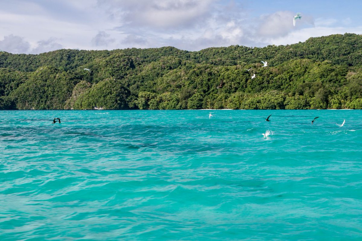 “As we celebrate #BiodiversityDay, let us recommit to preserving &amp; restoring our 🌍's rich tapestry of life.”

<a href="/CaroTorresTrue/">Carolina Torres</a> shares her experience working at @NoExtinctions &amp; highlights the need to address the threat of #InvasiveAlienSpecies - one of the key drivers of