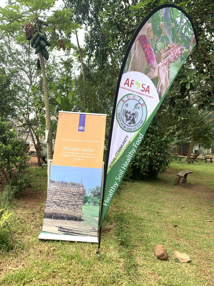 rucidug's tweet image. Todays recap about yesterdays training .at rucid .TOTs sharing what they learnt while the trainer demonstrates