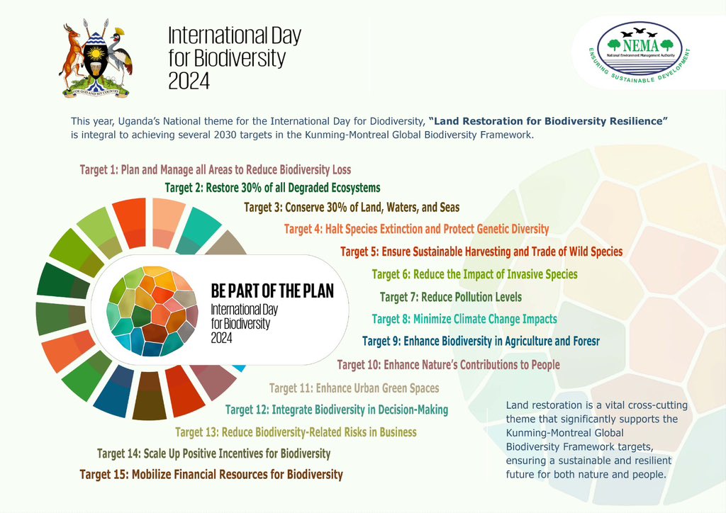 Tommorow is International day for biodiversity🎉🎉 Be part of the plan✅, restore land and contribute to biodiversity resilience🌍 #IDB2024 #environmentawareness