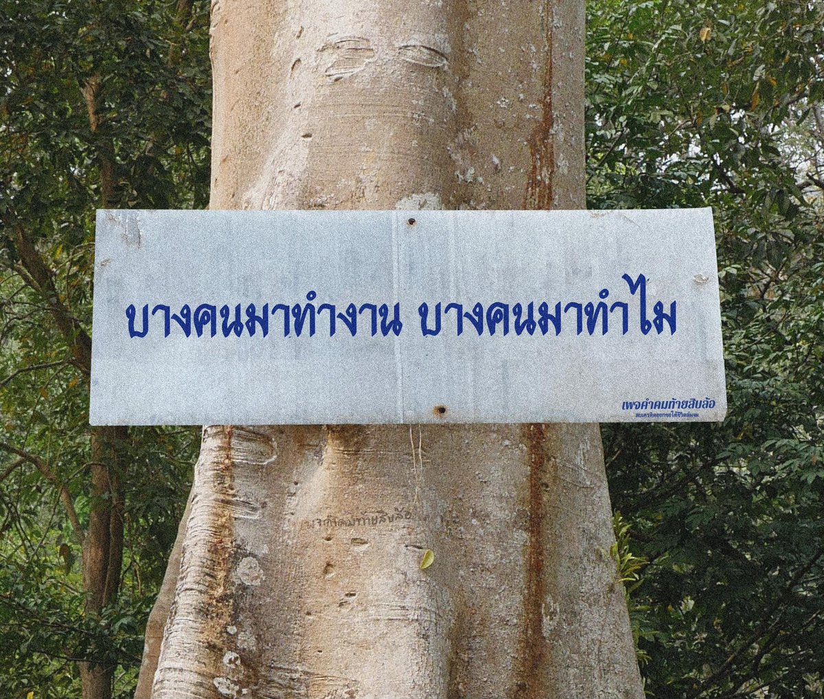 มันจะมีอยู่คนนึง :