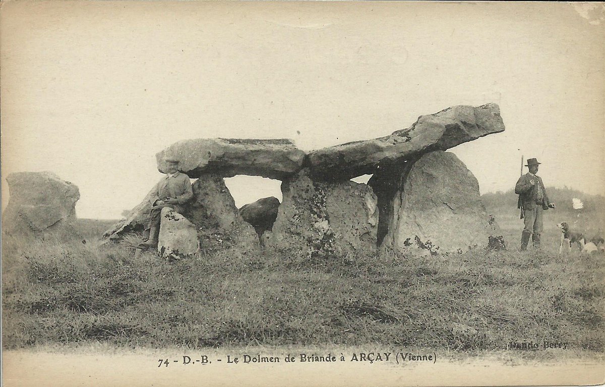 The Dolmen of Briande I in Arçay (Vienne) has a long narrow chamber (10m long x 1.8m wide) covered by a single capstone,now broken in two, resting on seven surviving orthostats. Possible evidence for a portal suggests it was a dolmen angevin. #TombTuesday.