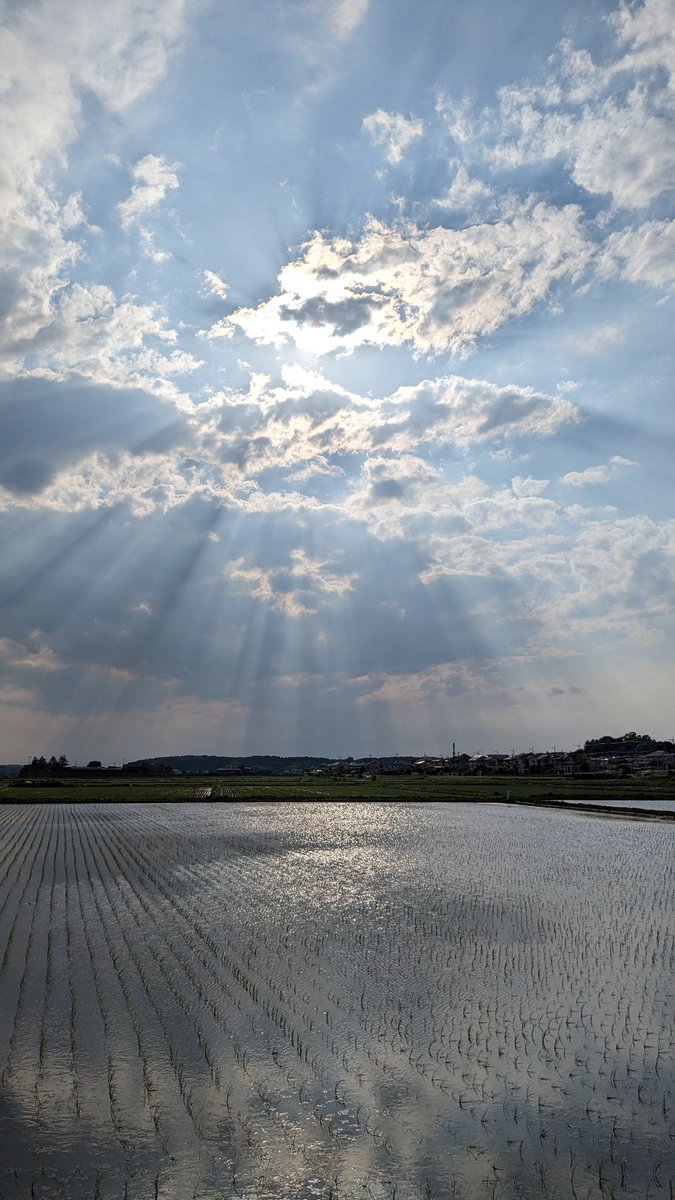 kukosinen1215's tweet photo. #イマソラ
#そらそこに空 https://t.co/6lt7RS0qwb