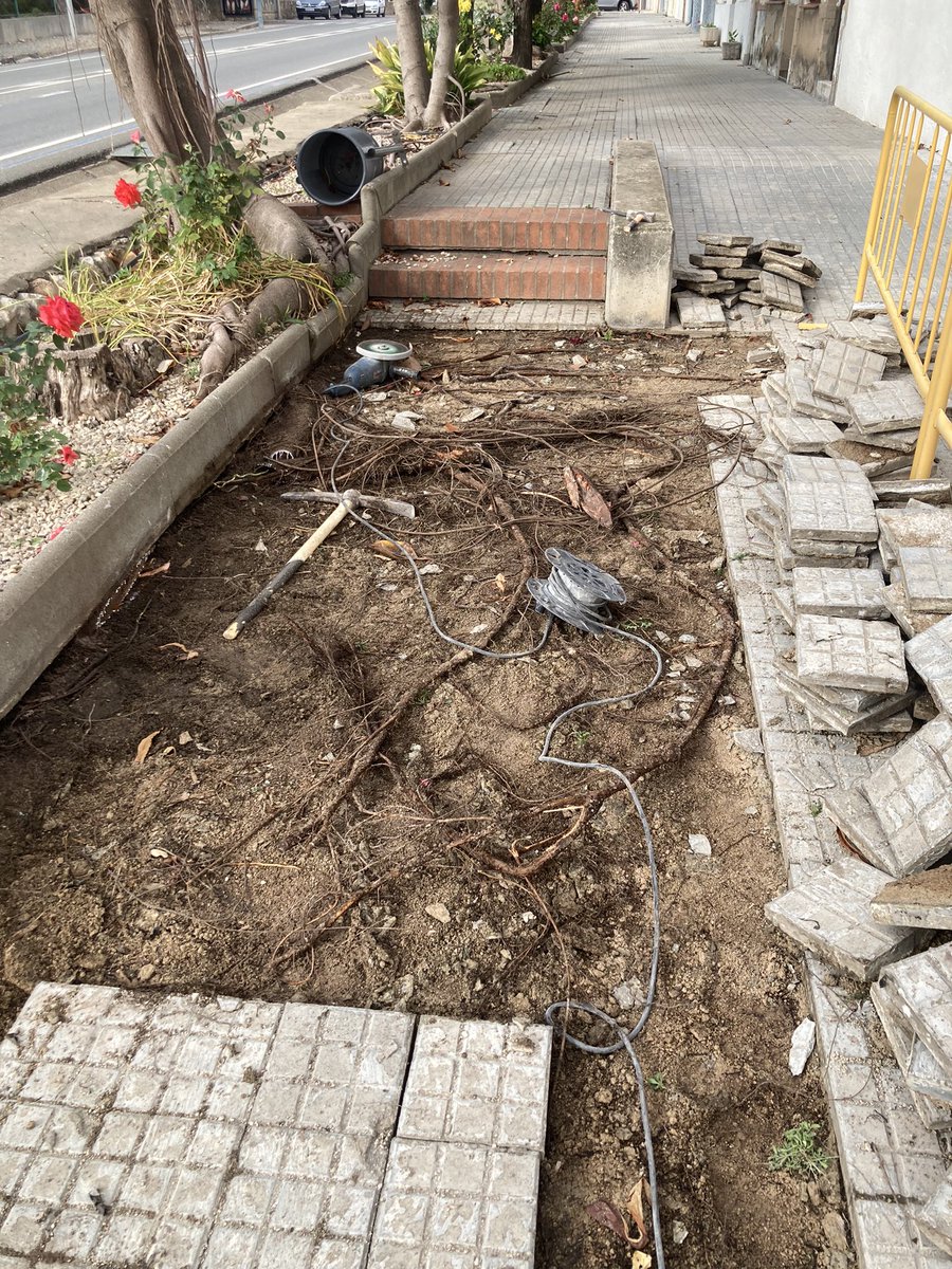 Iniciem l’arranjament del carrer Santa Cinta de #Vinallop. Es retiren les arrels que han aixecat el paviment i es torna a posar a nivell.