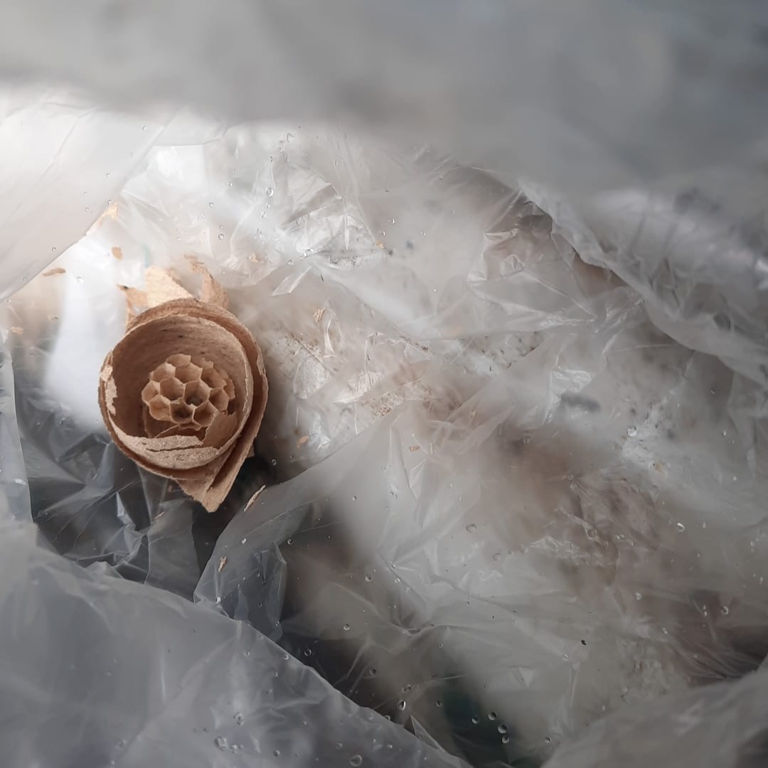 Beaver Pest Control tweet media