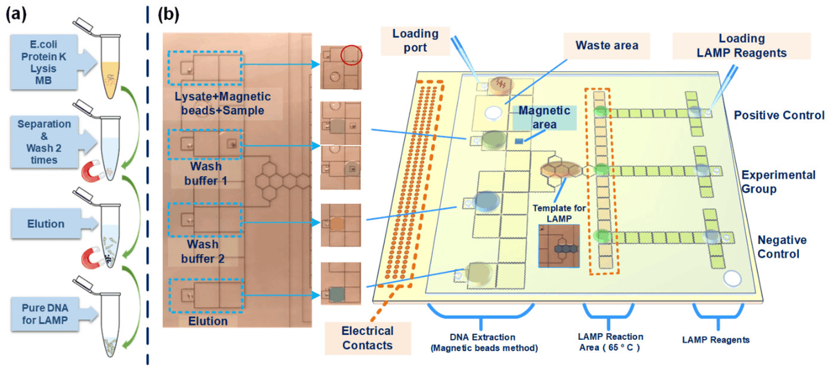 Biosensors_MDPI's tweet image. #Article
All-in-One Digital Microfluidics System for Molecular Diagnosis with Loop-Mediated Isothermal Amplification by Siyi Hu, et al.
doi.org/10.3390/bios12…

@MDPIOpenAccess @ChemMatSci_MDPI @UCAS1978
#electrowetting #digitalmicrofluidics #allinone #openaccess