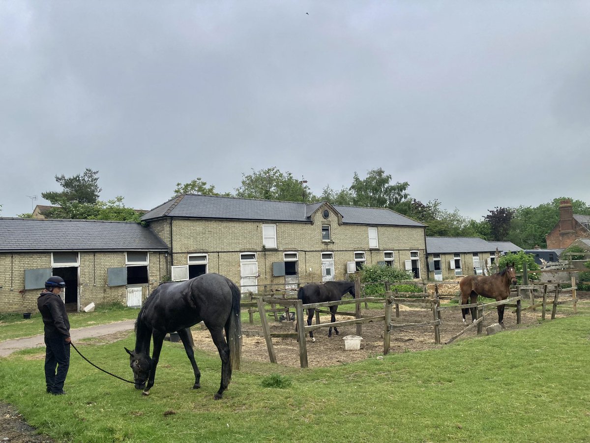 Overcast this morning in Newmarket. Rain is on the way but hopefully it’ll mainly fall tonight rather than during the day. Warm enough: currently 12 degrees, forecast high 19 #HiddenPearl #FlyingStar