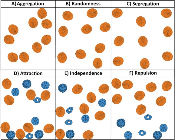 No spatial structure to Dickinsonia distribution sciencedirect.com/science/articl…