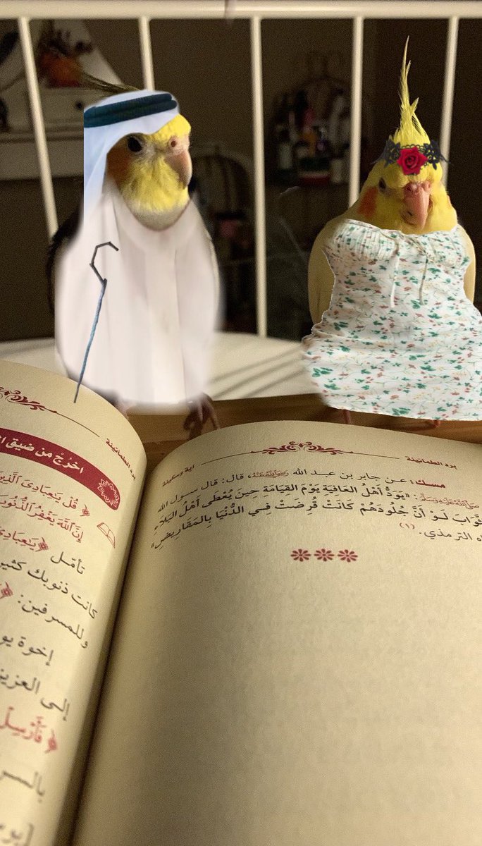 b__017's tweet photo. @_xiidr مبروك للعرسان منك لمال ومنهم لعيال😭😭

ملاحظه : خلي سكر تدخل نادي لفستان ضيق عليها https://t.co/6AMOabhJZm