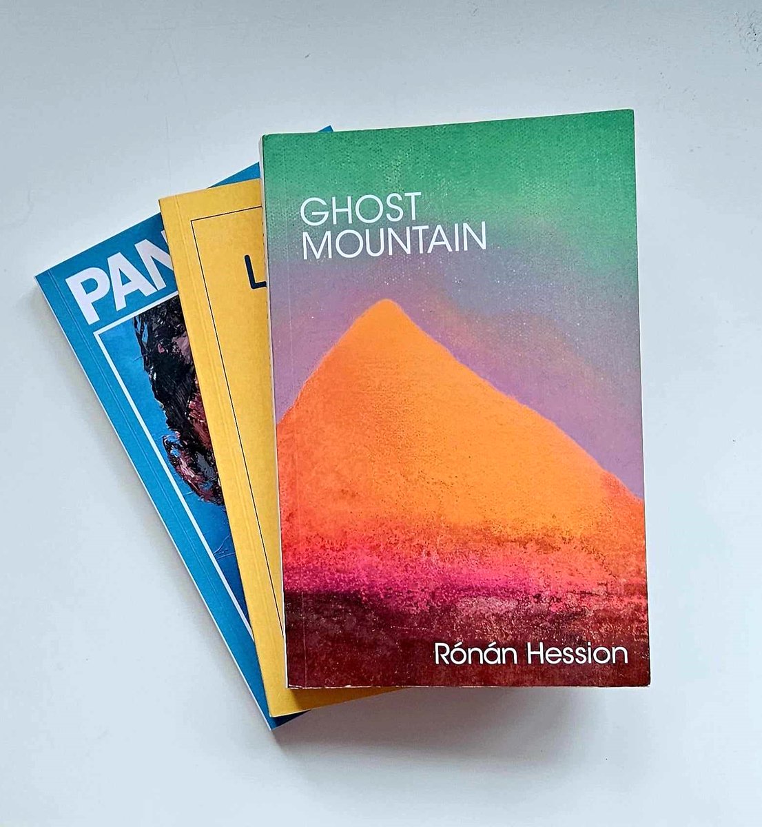 #BookReview #GhostMountain by Rónán Hession (@MumblinDeafRo) An unconventional & quite remarkable novel Compassionate and astute Officially pub May 23rd w/ @Ofmooseandmen (but popping up in bookshops!) #TuesdayBookBlog swirlandthread.com/review-ghost-m…