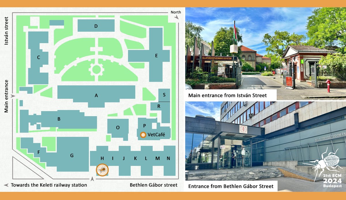 21st European Carabidologists' Meeting tweet media