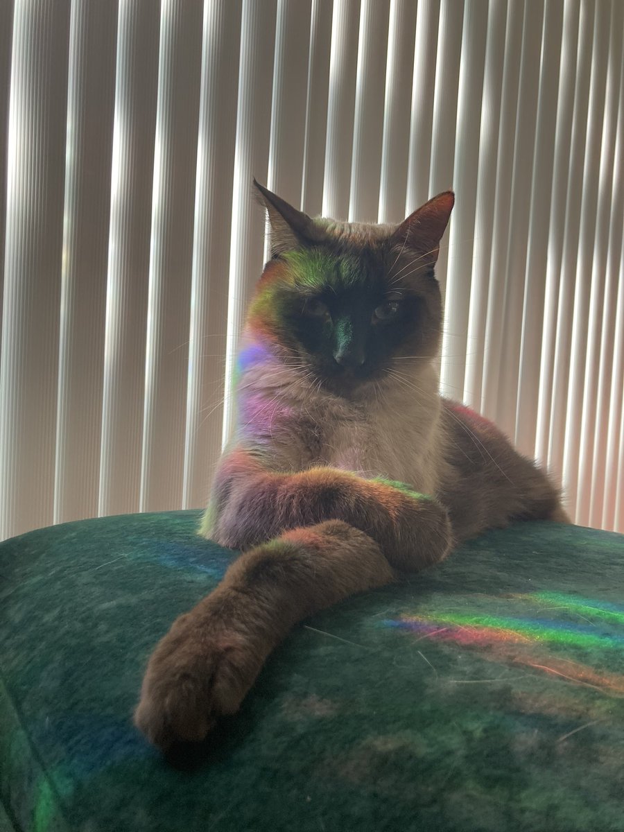 WildNile tweet media