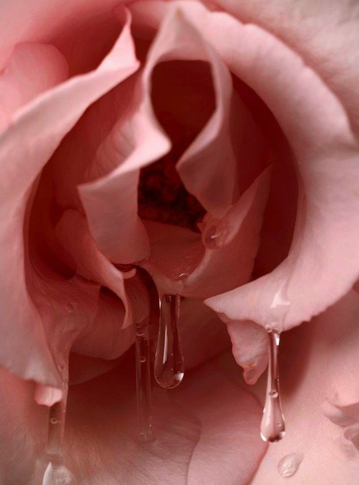 #Günaydın çiçek gibi gün ❤️‍🔥🌸💦 #naylonçorap #fetiş #kirliiççamaşırı #kokuluiçgiyim #köle #finansalköle #sahibe #mistres #sugardaddy