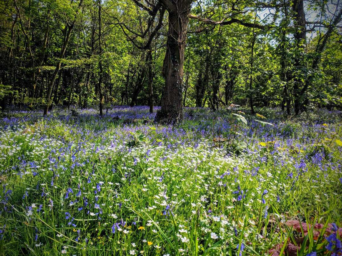 The Great Big Nature Survey is back! 📝 @WildlifeTrusts want to hear your opinions on some of the biggest questions surrounding nature and our collective role in caring for it. Take the survey today and make your voice heard 📣 wildlifetrusts.org/great-big-natu…