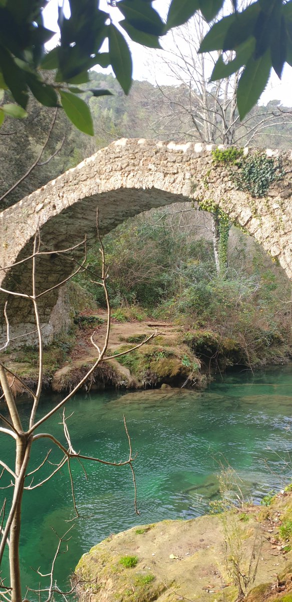 Vincent Alloo tweet media