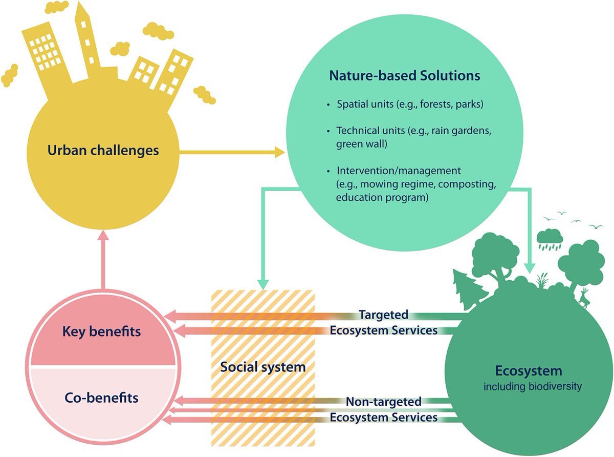 In ons onderzoek proberen we de drie concepten - #biodiversiteit, #ecosysteemdiensten, #naturebasedsolutions - samen te brengen om in kaart te brengen welke gerichte of juist multifunctionele aanpakken er zijn om verschillende uitdagingen aan te pakken.