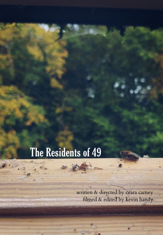 BloomsdayFF's tweet photo. So we missed that it was #WorldBeeDay yesterday but very excited to present not one but TWO films about
bees in our #shortfilm programme this year ! 🐝
Anthony and the Bees by Zoe Nolan
The Residents of 49 by Ceara Carney
#bloomsday2024 #dublinfilms #poetryfilm https://t.co/pkaOUTdfGD