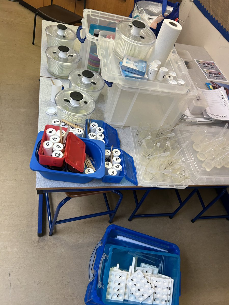 Ysgol Derwenfa tweet media