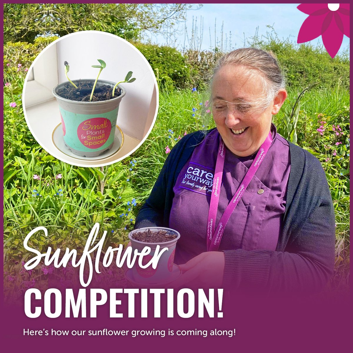 🌻Join our Competition!🌻 We've kicked off our office sunflower planting for the #CareYourWayCommunity. Inspired by Lindsey, we support the global awareness campaign for centronuclear and myotubular myopathy. Grow sunflowers, share pics, raise awareness! 🌎💜 #bigsunflowerproject