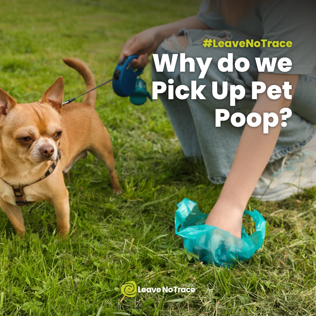 Did you know that leaving your dog's waste behind can wreak havoc on our delicate ecosystems? It's not just a minor inconvenience—it can have significant consequences for the great outdoors 👎 Curious to learn more? Check out our guide: 🔗 leavenotraceireland.org/love-this-plac…