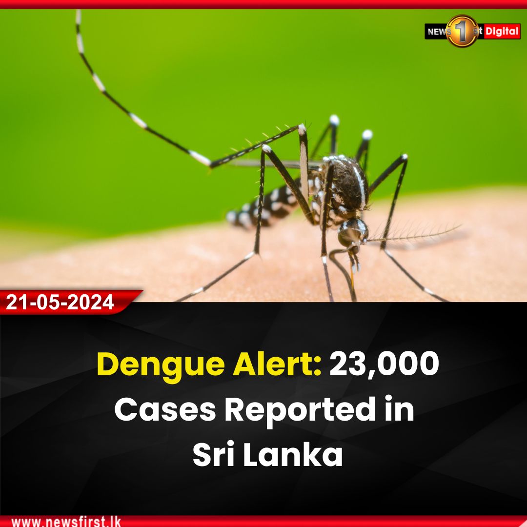 Dengue Alert: 23,000 Cases Reported in Sri Lanka

Details: english.newsfirst.lk/2024/05/21/den…

#newsfirst #SLNews #NewsSL #SriLanka #SL #lka #News1st #local #Weather #Dengue #mosquito