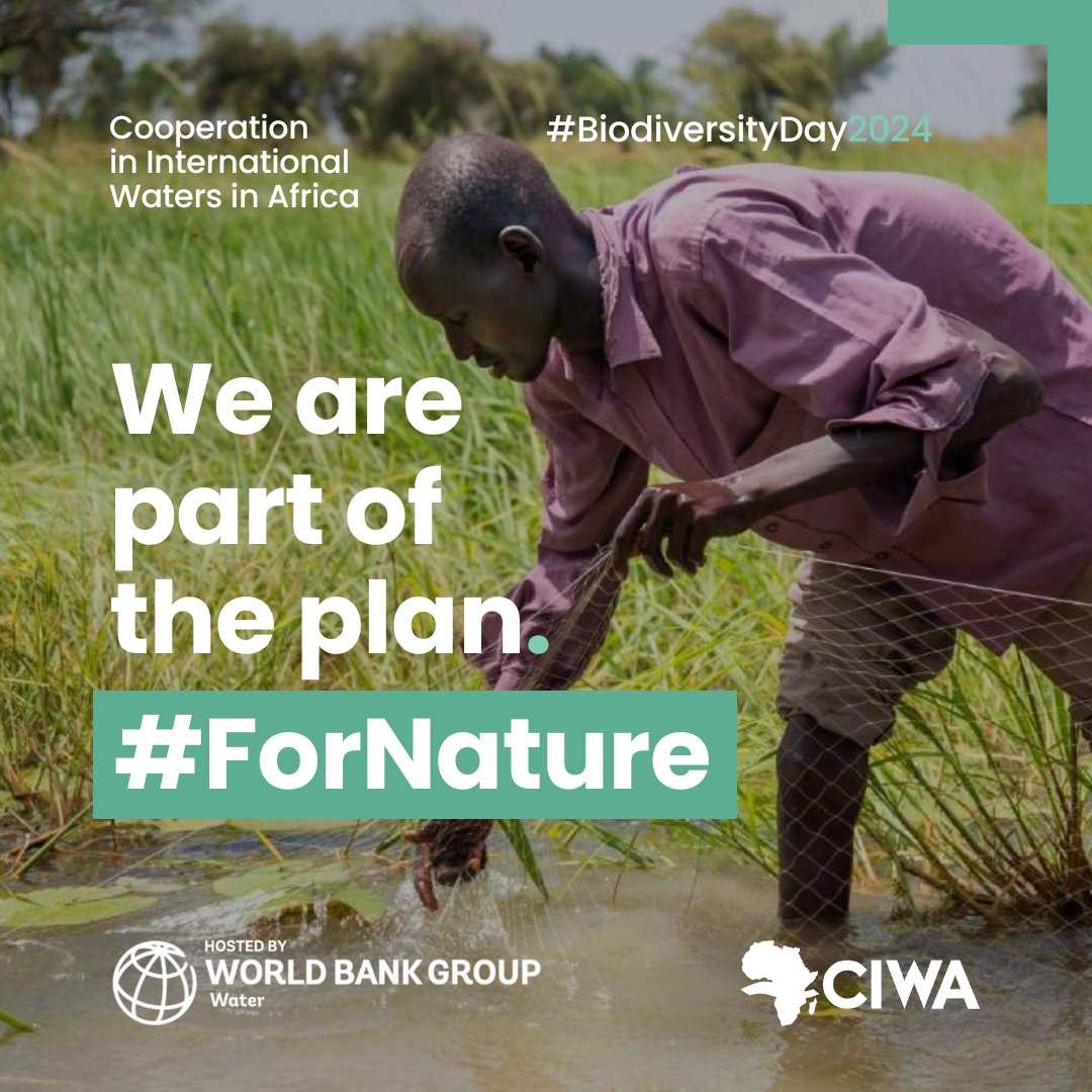 #BiodiversityDay is around the corner (May, 22 🗓️) By investing in nature-based solutions, @CIWAprogram supports #sustainable water management, disaster risk reduction & climate resilience in #transboundary African waters 🌊 Together, we are #PartofthePlan#ForNature🌱💧🫱🏿‍🫲