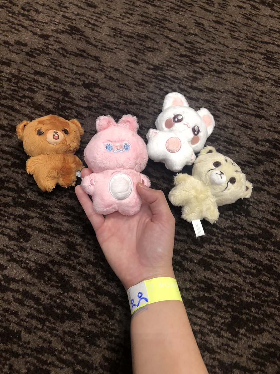 4iiShikii_TotoRo 🤍🐰BunnY🐇🎁 tweet media