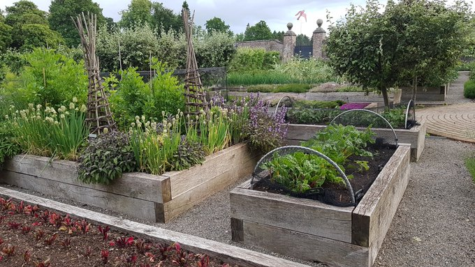 The Kitchen Garden @RuddingPark #Harrogate #Yorkshire is one of the best I have ever seen with a vast array of #vegetables #salad crops & #freshflowers grown for the #hotel #spa & #restaurants in beautifully managed gardens #travelreviews #travelblogger #travel #Hospitality