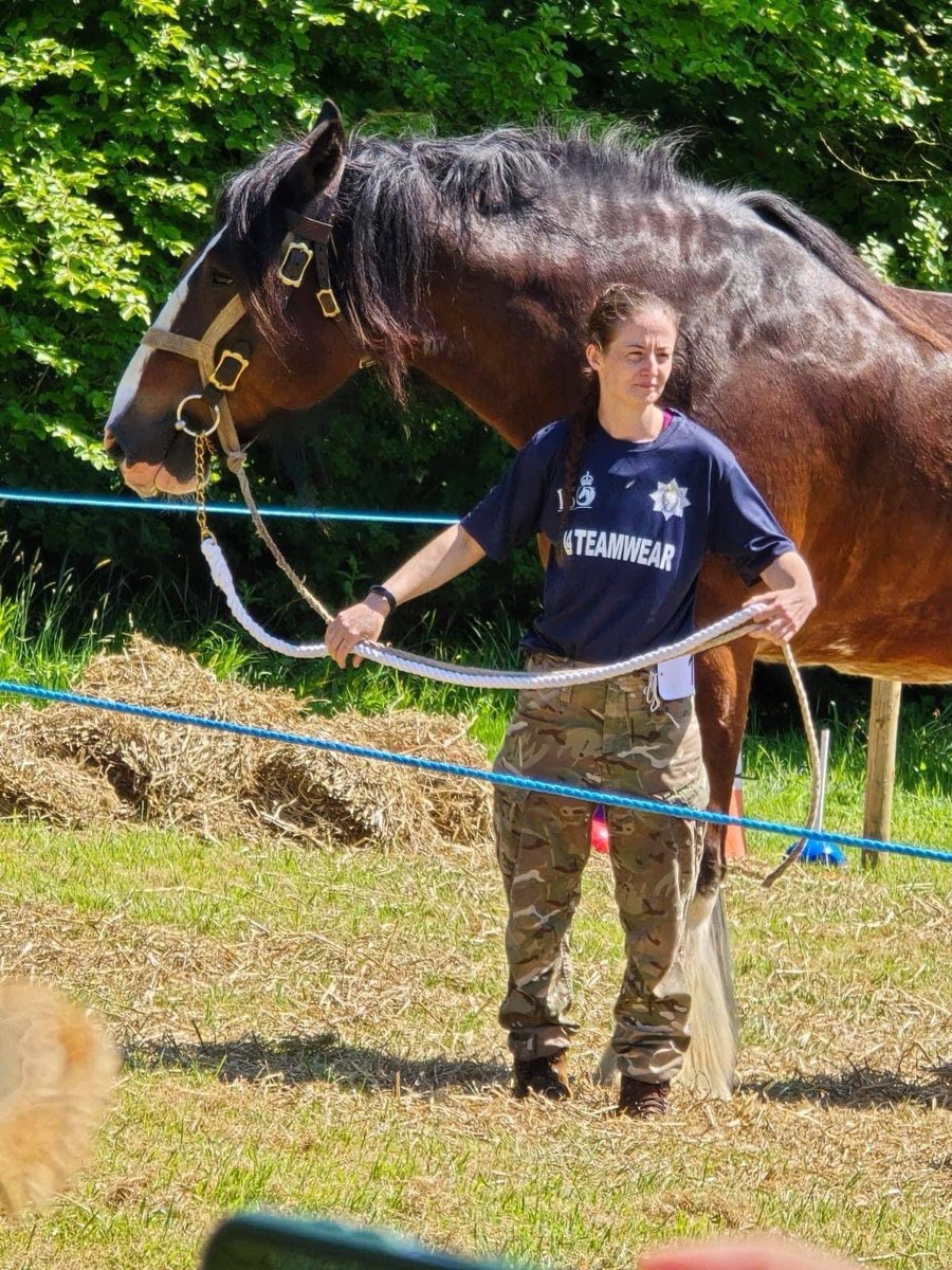 29 Regiment RLC tweet media