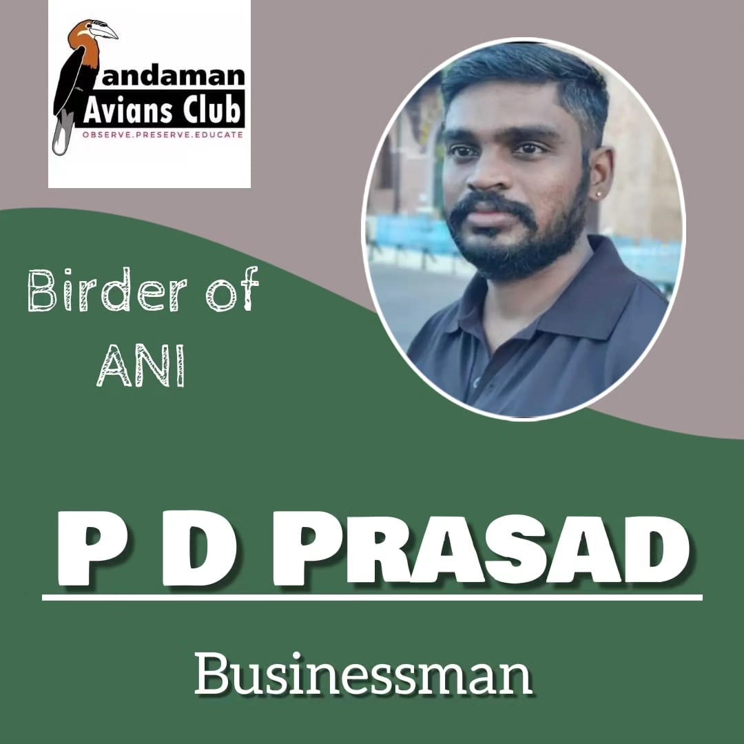 ANDAMAN AVIANS CLUB tweet media