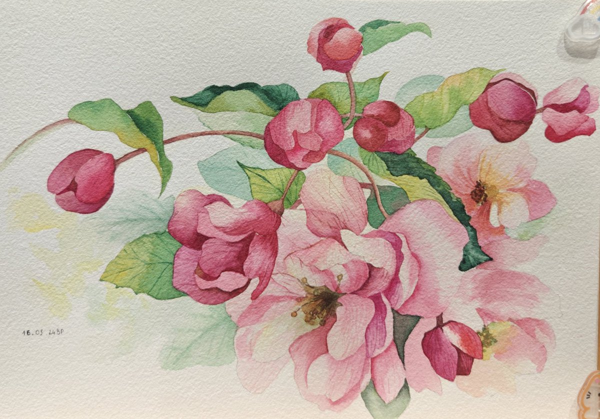 Thêm hoa cho mùa hè 🌷🌷🌷
Cũng như mọi khi, bằng chất liệu màu nước 🎨🎨🎨