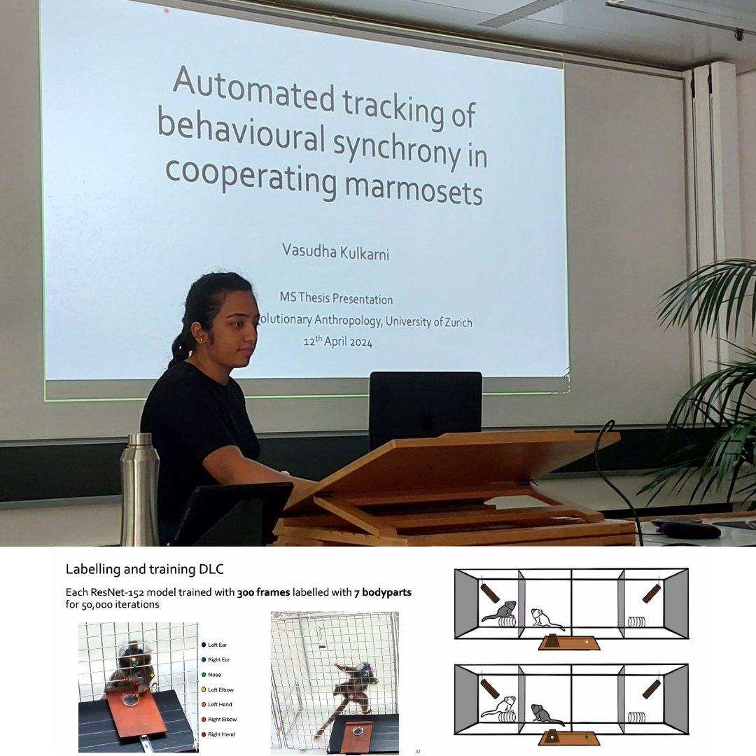 Evolutionary Cognition Group (@evocoggroup) on Twitter photo 🎊Congratulations to Vasudha who recently defended her thesis on implementing an automated gaze tracking pipeline to investigate behavioural synchrony in marmosets! 👏 Well done and all the best for the start of your PhD <a href="/ISTAustria/">ISTAustria</a>!!🤗 t.ly/tjlu2 🎊Congratulations to Vasudha who recently defended her thesis on implementing an automated gaze tracking pipeline to investigate behavioural synchrony in marmosets! 👏 Well done and all the best for the start of your PhD <a href="/ISTAustria/">ISTAustria</a>!!🤗 t.ly/tjlu2