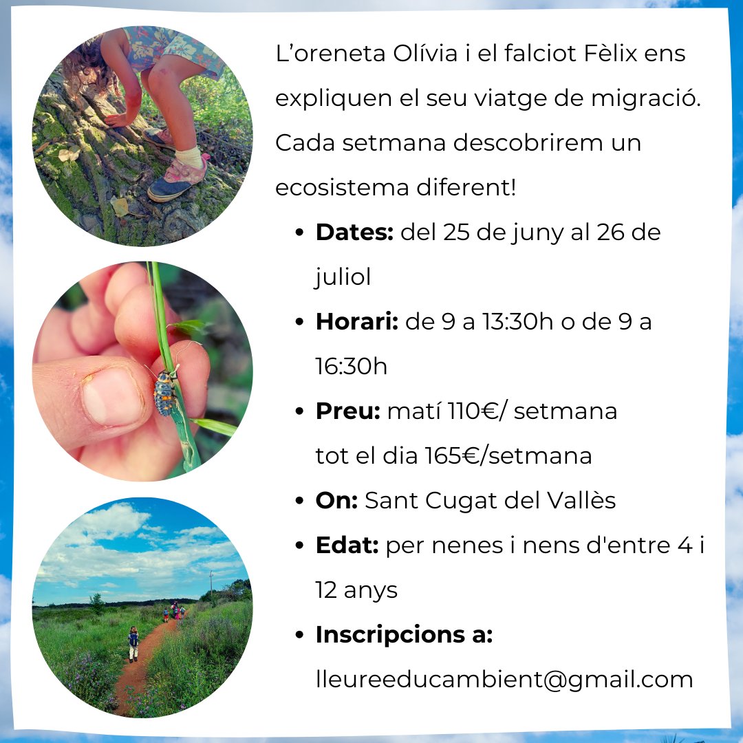 Educambient_'s tweet photo. Aquest estiu viurem una altra edició del casal a la natura! 🐦🌞 Últimes places disponibles:

🌱SETMANA 1: del 25 al 28 de juny
Grup de petits: ÚLTIMES PLACES
Grup de grans: ÚLTIMES PLACES

🌱SETMANA 3: del 8 al 12 de juliol
Grup de petits: ÚLTIMES PLACES
Grup de grans: COMPLET https://t.co/vB3vwXh0AX