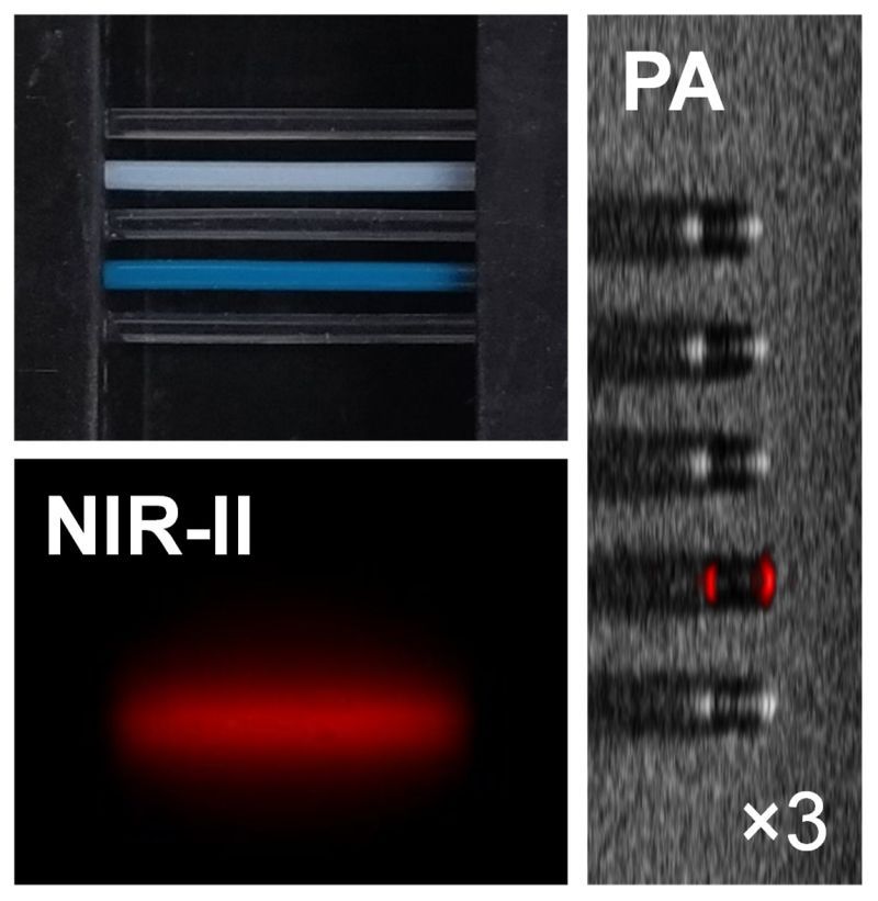 #chimie ⚗️ #ResultatScientifique #📕 🔎 l Une sonde moléculaire qui permet d’imager le vivant à la fois en luminescence dans le proche infrarouge et par la détection de signaux photoacoustiques 🤝 @CBM_UPR4301 @DR08_CNRS ➡️inc.cnrs.fr/fr/cnrsinfo/de…